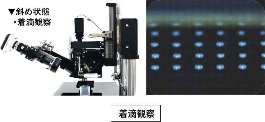 特徴右側イメージ